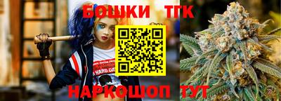гашик Дубна