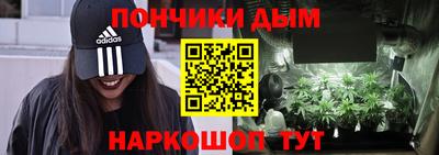 гашик Дубна