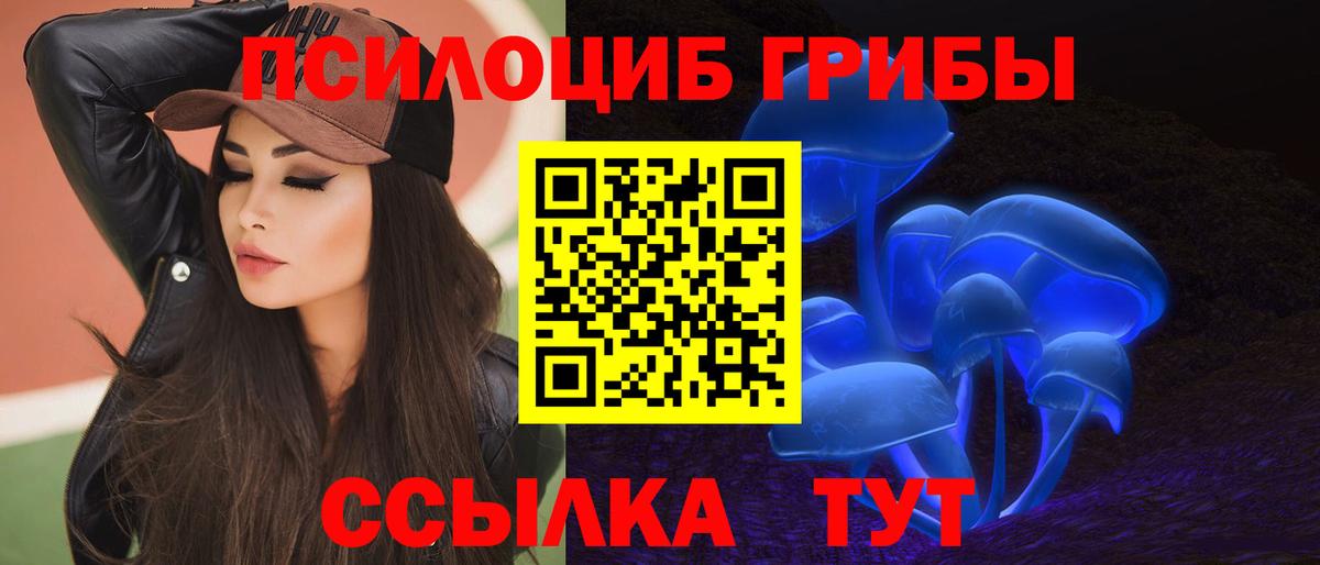 Черкесск  Галлюциногенные грибы мухоморы  Вход с VPN 