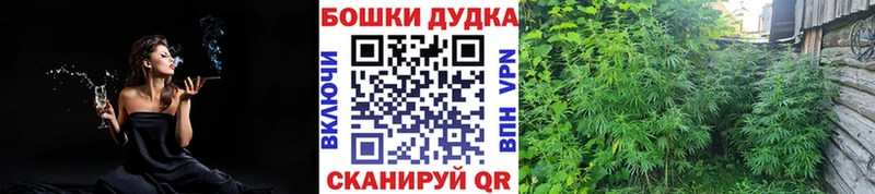 сколько стоит  Черкесск  Бошки марихуана LSD WEED 
